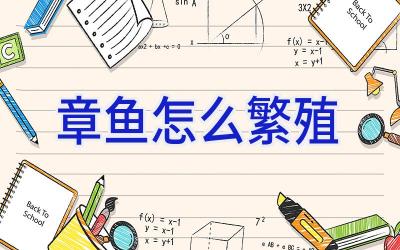 章鱼怎么繁殖插图