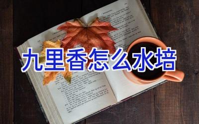 九里香怎么水培插图 九里香怎么水培插图