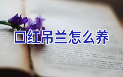 口红吊兰怎么养插图 口红吊兰怎么养插图