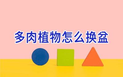 多肉植物怎么换盆插图