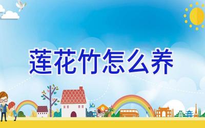 莲花竹怎么养插图