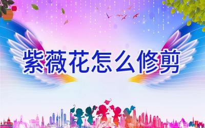 紫薇花怎么修剪插图 紫薇花怎么修剪插图