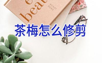 茶梅怎么修剪插图 茶梅怎么修剪插图