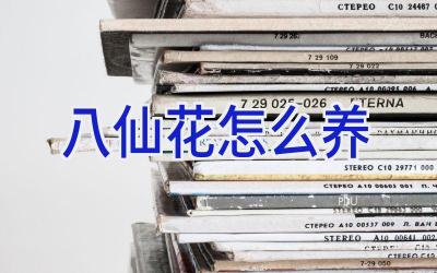 八仙花怎么养插图 八仙花怎么养插图