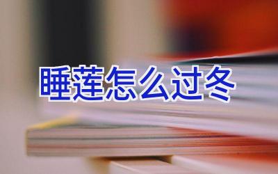 睡莲怎么过冬插图