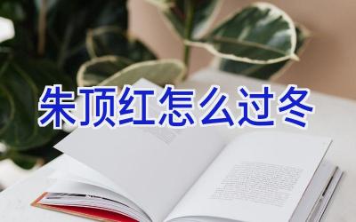 朱顶红怎么过冬插图 朱顶红怎么过冬插图
