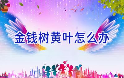 金钱树黄叶怎么办插图