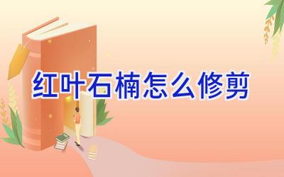 红叶石楠怎么修剪插图 红叶石楠怎么修剪插图