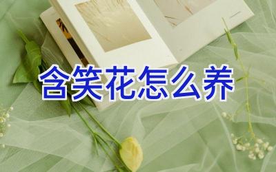 含笑花怎么养插图 含笑花怎么养插图