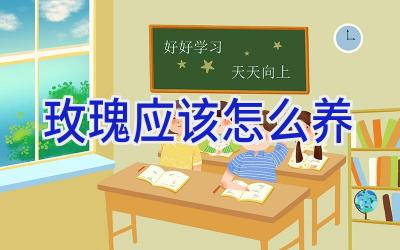 玫瑰应该怎么养插图 玫瑰应该怎么养插图