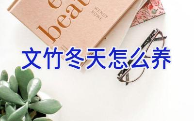 文竹冬天怎么养插图 文竹冬天怎么养插图