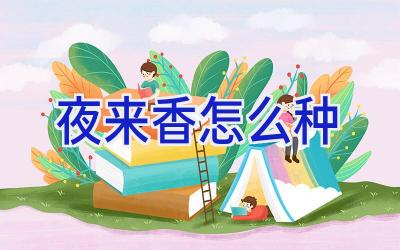 夜来香怎么种插图 夜来香怎么种插图