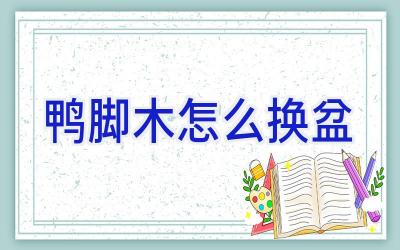 鸭脚木怎么换盆插图