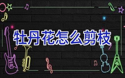 牡丹花怎么剪枝插图