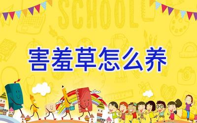 害羞草怎么养插图 害羞草怎么养插图