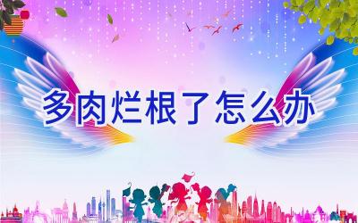 多肉烂根了怎么办插图