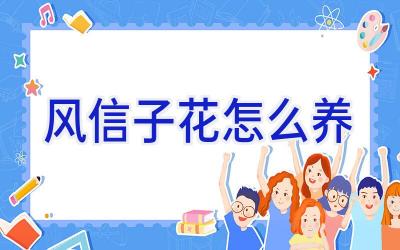 风信子花怎么养插图 风信子花怎么养插图