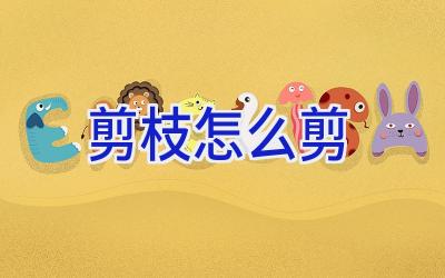 剪枝怎么剪插图 剪枝怎么剪插图