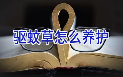 驱蚊草怎么养护插图 驱蚊草怎么养护插图