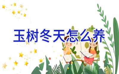 玉树冬天怎么养插图 玉树冬天怎么养插图