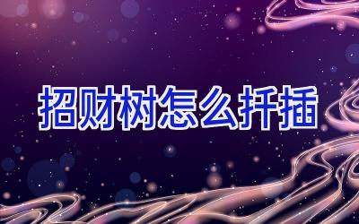 招财树怎么扦插插图