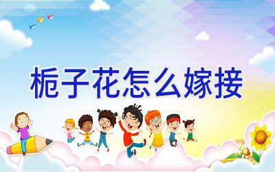 栀子花怎么嫁接插图