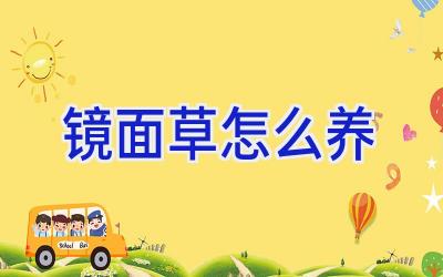 镜面草怎么养插图 镜面草怎么养插图