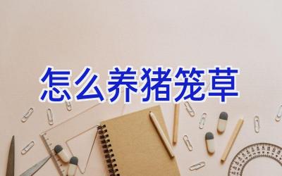 怎么养猪笼草插图