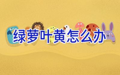 绿萝叶黄怎么办插图 绿萝叶黄怎么办插图