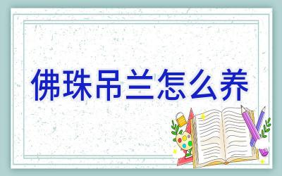 佛珠吊兰怎么养插图 佛珠吊兰怎么养插图