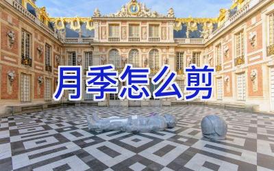 月季怎么剪插图