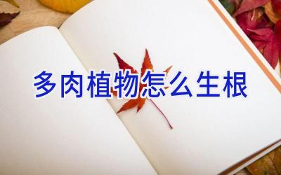 多肉植物怎么生根插图 多肉植物怎么生根插图