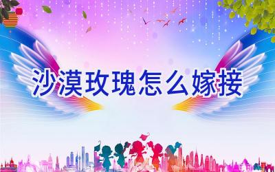 沙漠玫瑰怎么嫁接插图