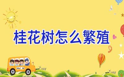 桂花树怎么繁殖插图 桂花树怎么繁殖插图