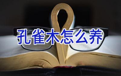 孔雀木怎么养插图 孔雀木怎么养插图