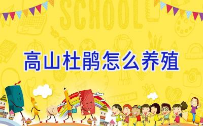 高山杜鹃怎么养殖插图 高山杜鹃怎么养殖插图