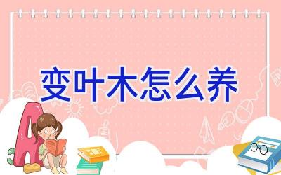 变叶木怎么养插图