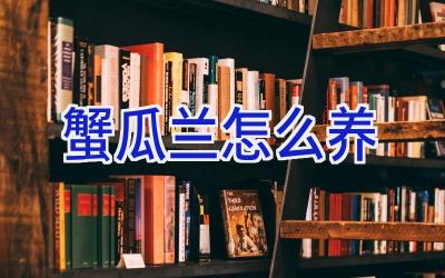 蟹瓜兰怎么养插图