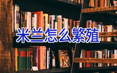 米兰怎么繁殖插图