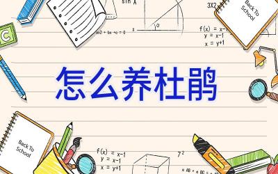 怎么养杜鹃插图 怎么养杜鹃插图