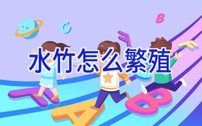 水竹怎么繁殖插图 水竹怎么繁殖插图