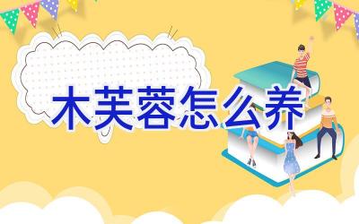 木芙蓉怎么养插图