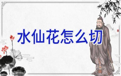 水仙花怎么切插图