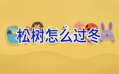 松树怎么过冬插图 松树怎么过冬插图