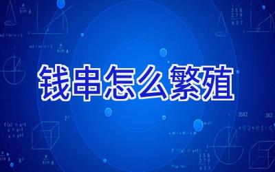 钱串怎么繁殖插图 钱串怎么繁殖插图