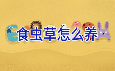 食虫草怎么养插图 食虫草怎么养插图