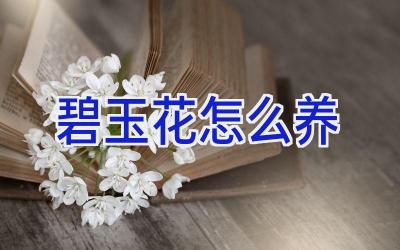 碧玉花怎么养插图 碧玉花怎么养插图