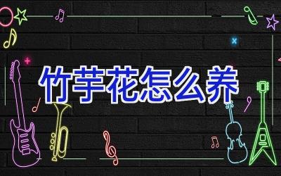 竹芋花怎么养插图