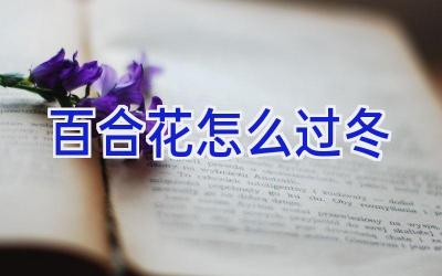 百合花怎么过冬插图 百合花怎么过冬插图