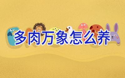 多肉万象怎么养插图 多肉万象怎么养插图